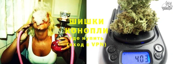 индика Надым