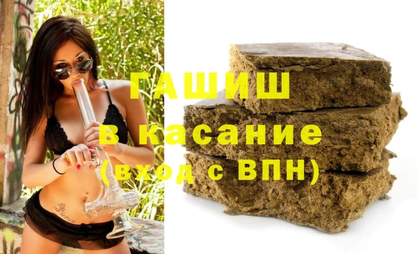 индика Надым