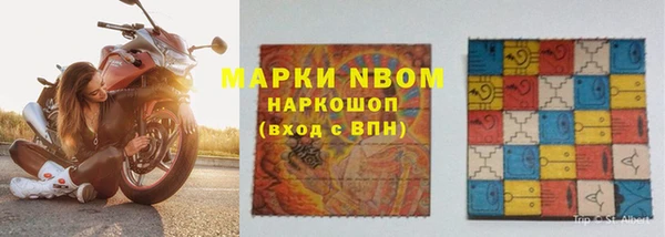 индика Надым