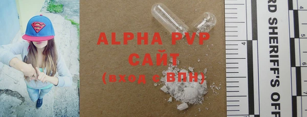 индика Надым
