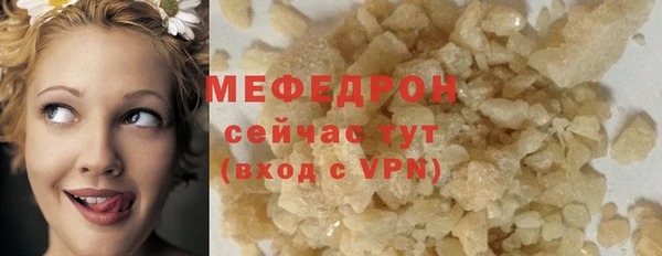 индика Надым