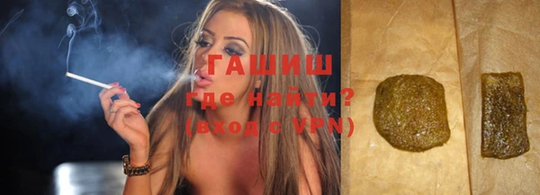 индика Надым