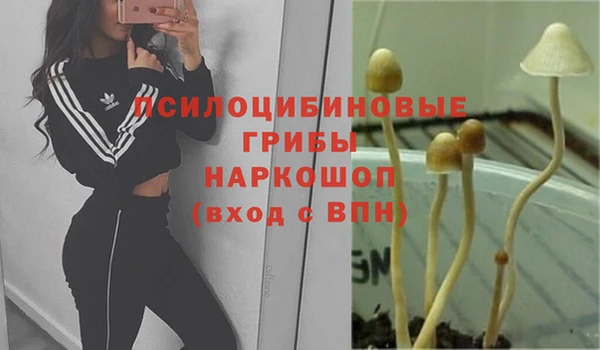 индика Надым