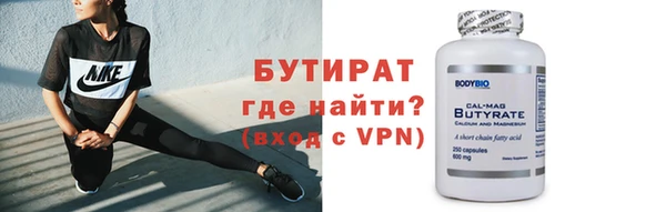 индика Надым