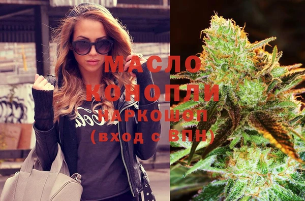 индика Надым
