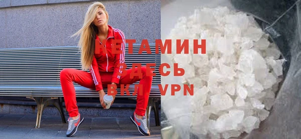 индика Надым