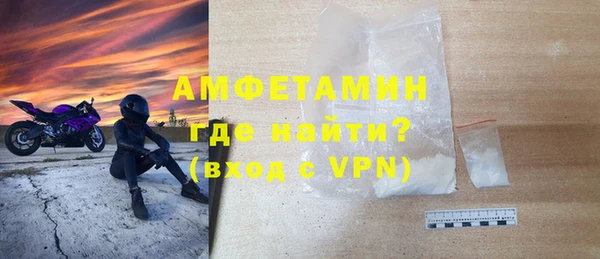 индика Надым