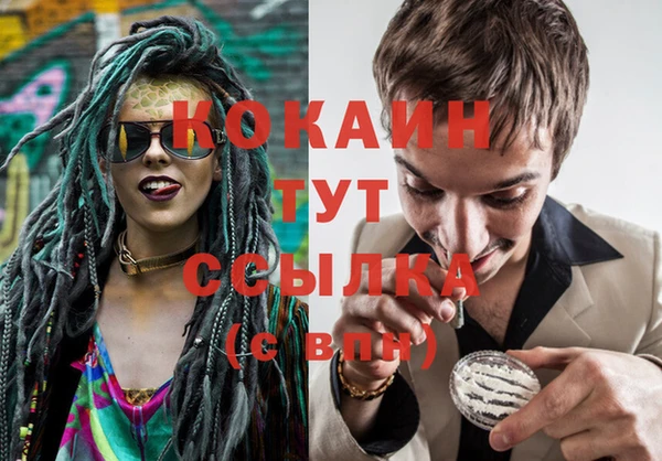 индика Надым