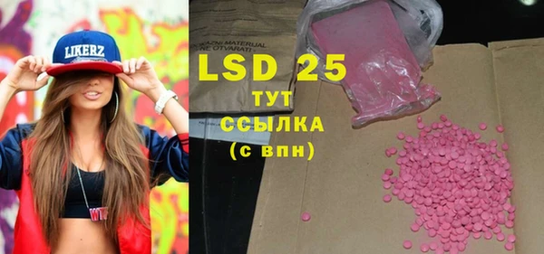 индика Надым