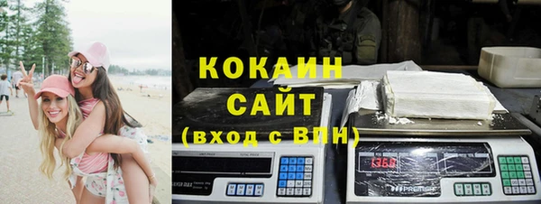 индика Надым