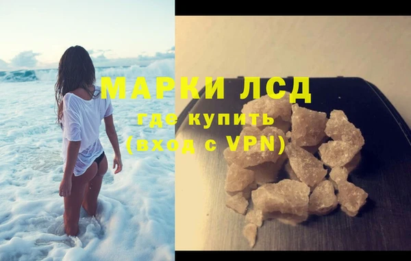 индика Надым