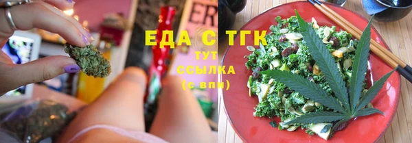 индика Надым