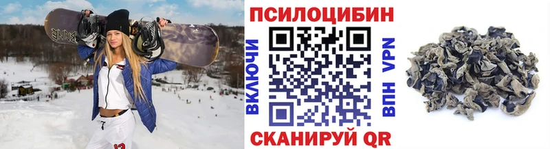 Купить где  Чернушка  Псилоцибиновые грибы GOLDEN TEACHER 