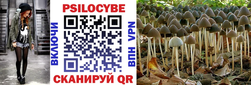 Псилоцибиновые грибы MAGIC MUSHROOMS Чернушка