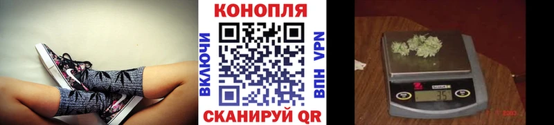 Купить закладки  Чернушка  Марихуана MAZAR 